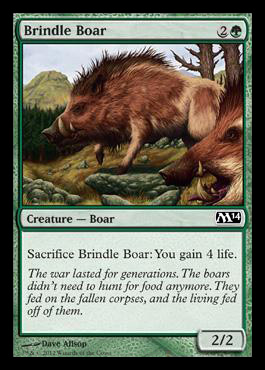 brindle boar m14