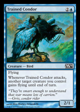 trained condor m14 spoiler
